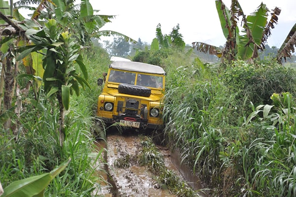 Offroad Jeep : Promo Offroad Jeep Puncak Murah 950rb/jeep